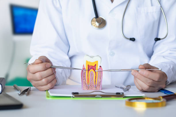 Best Emergency Orthodontic Repairs in Elkridge, MD